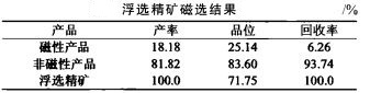 金红石矿选矿工艺的确定